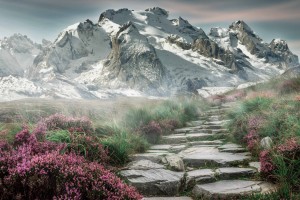 lol美服账号怎么注册？lol美服账号怎么注册新账号？