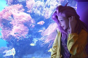 刺客信条1扒手任务怎么过，刺客信条1怎么抓取